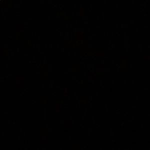 Meet your Posher, Audrey